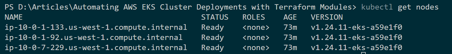 Confidently Automate AWS EKS Cluster Deployments with Terraform: Terraform provisoned EKS node groups