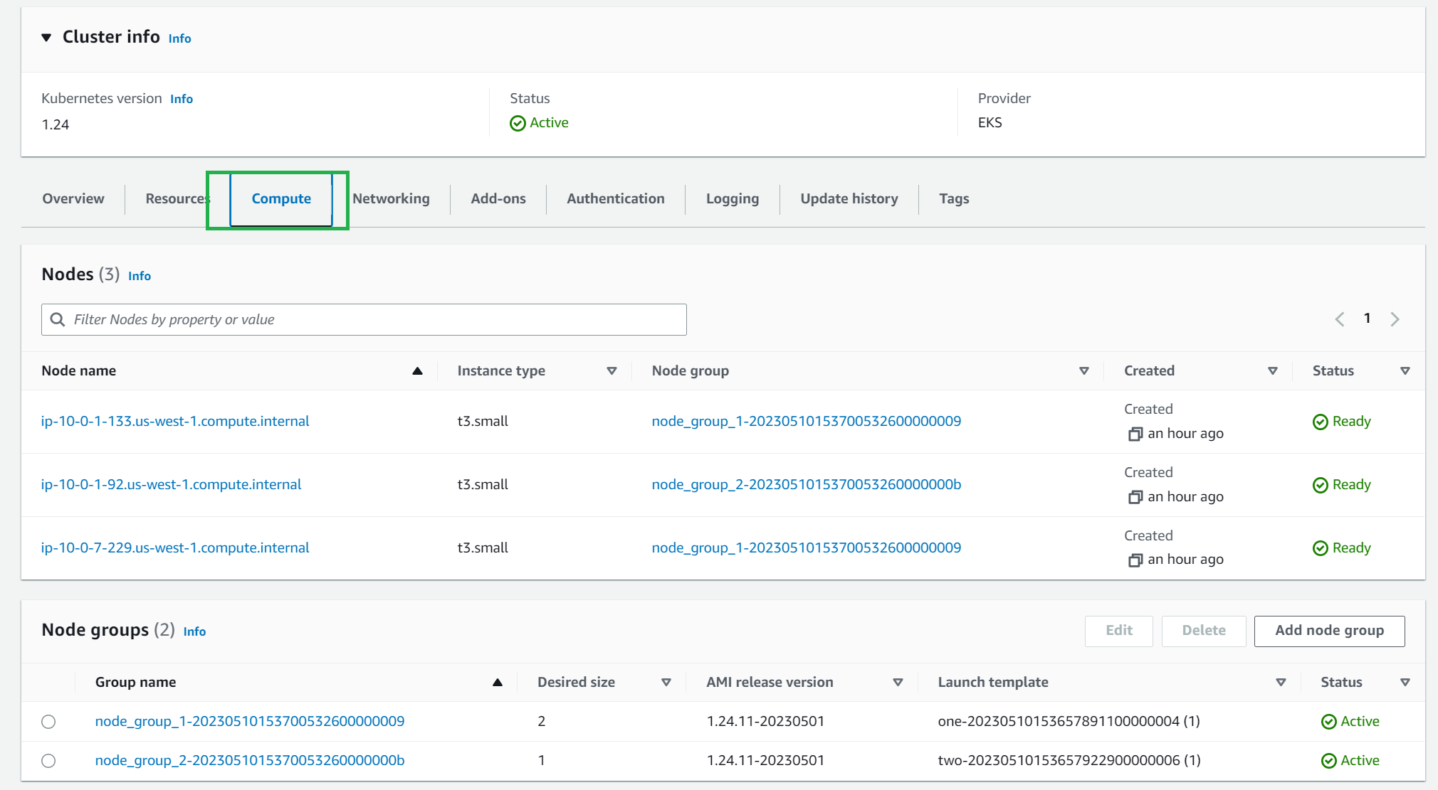 Confidently Automate AWS EKS Cluster Deployments with Terraform: Terraform provisoned EKS node groups