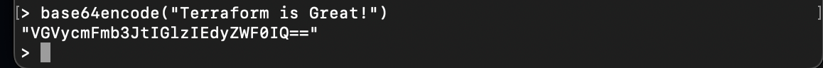 Terraform base64encode function